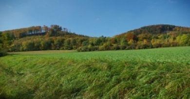 Land-Gut-Hotel Raeuber Lippoldskrug Alfeld  Luaran gambar