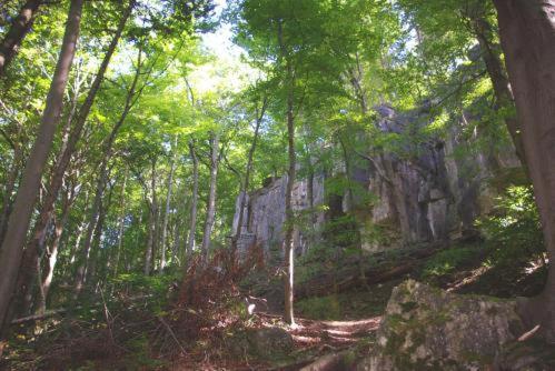 Land-Gut-Hotel Raeuber Lippoldskrug Alfeld  Luaran gambar
